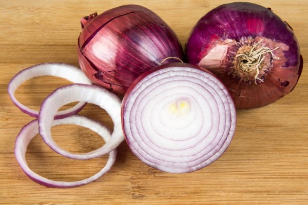 Megaruzxpnew4af onion tor