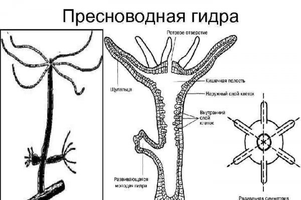 Русская мега